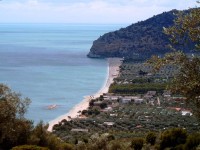 Mattinata